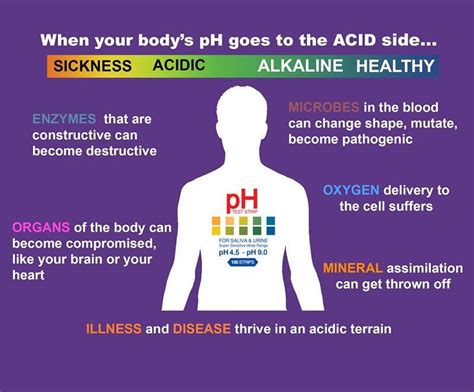 Alkaline Water Will Hydrate Your Body Greatly The Form Of Alkaline