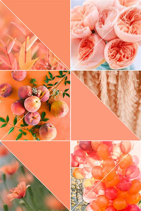 Color Your Life Peach Peach Decor Mood Board Design Color