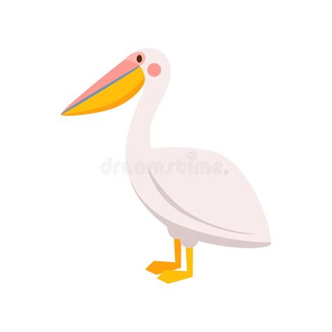 Cute Pelican Bird Isolated On White Background Vector Illustration