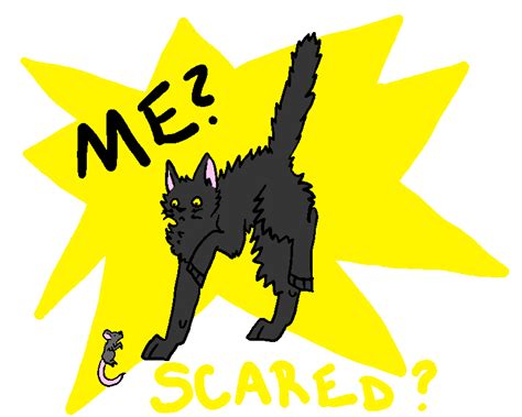 Scaredy Cat By Lilyfox123 On Deviantart