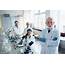 Smiling Senior Scientist With His Colleagues In Laboratory Stock Photo 
