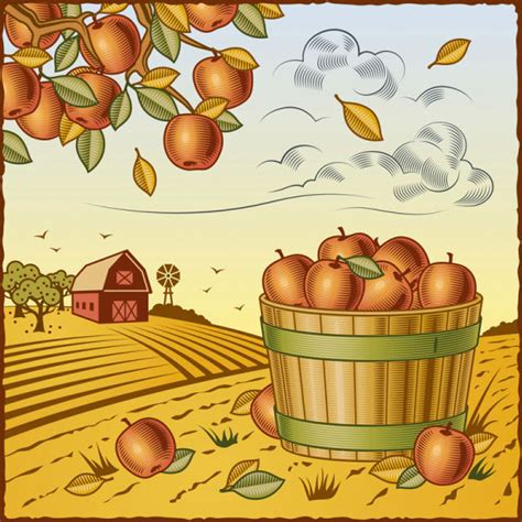 Harvest Free Vector Download 196 Free Vector For Commercial Use