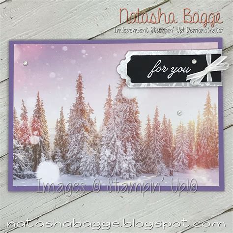 For You Winter Frost Card In 2020 Winter Frost Frost Stampin Up