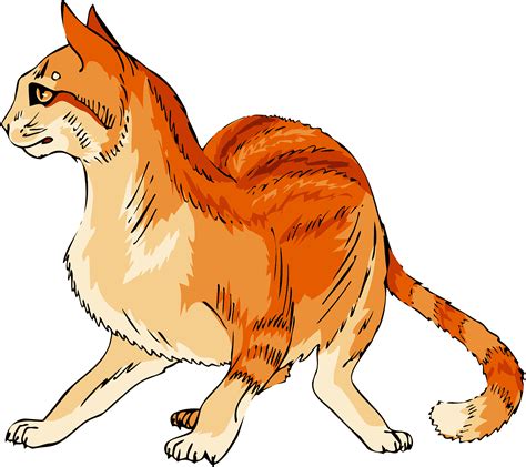 Ginger Cat Clipart