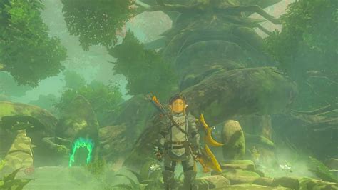 How To Enter The Lost Woods And Find Korok Forest In Zelda Totk