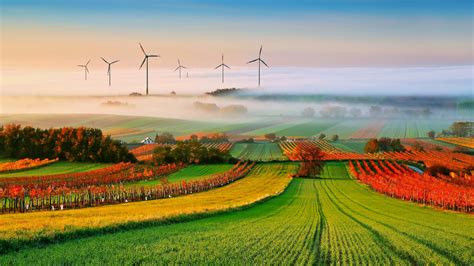 Fog Landscapes Nature Fields Trees Countryside Fans Electric