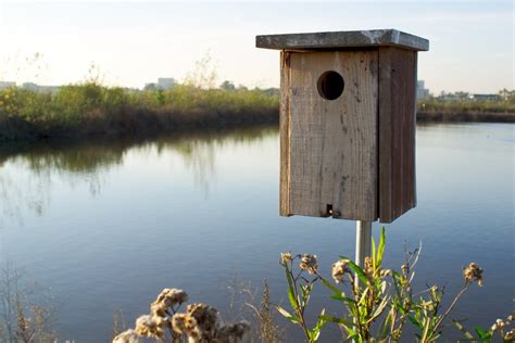 How To Build A Wood Duck Nest Box Feltmagnet