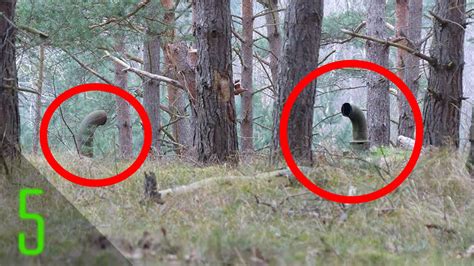 5 Creepiest Things Found In The Woods Youtube