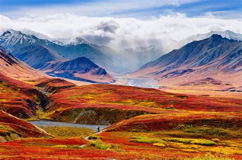 The Most Beautiful Places In Alaska National Parks Denali National