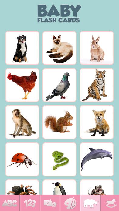 A great way to learn to recognize animals and fruits. App Shopper: Baby Flash Cards Game Learn Alphabet Numbers ...