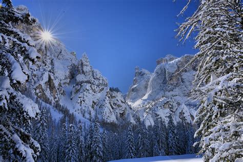 Snow Coated Spruce Trees Under Blue Sky Dolomiti La Porta Hd