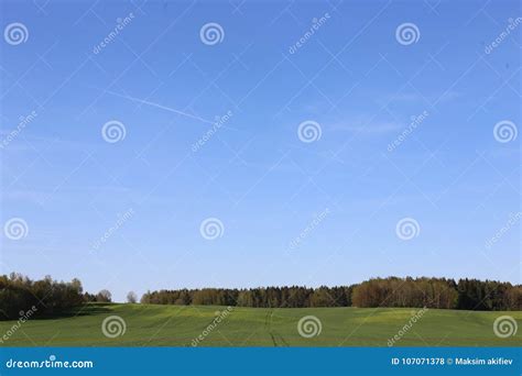 Panorama Green Field And Blue Sky Belarus Stock Photo Image Of