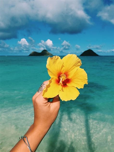 Hibiscus Hawaii Pictures Summer Vibes Beach Photos