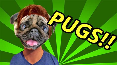 5 Games About Pugssoooo Many Pugs Youtube