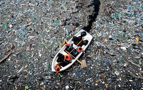 La Cantidad De Residuos Plásticos En El Mar Podría Casi Triplicarse