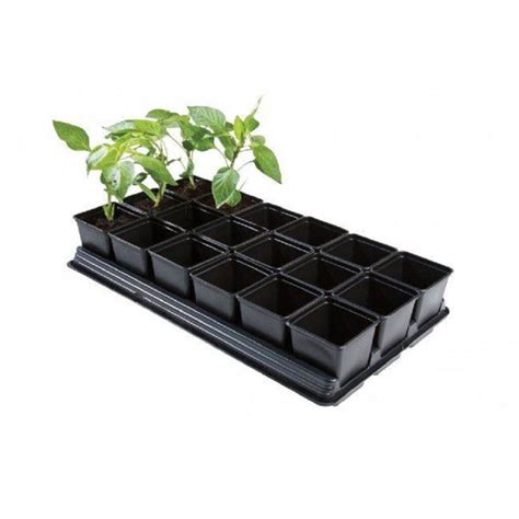 Growing Tray 18pot Square Seed Accessories Busy Bee Garden Centre