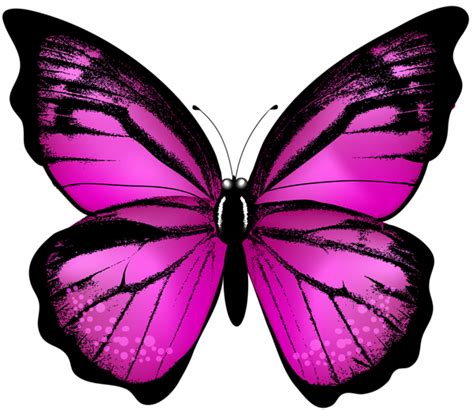 Pink Butterfly Transparent Clip Art Image 蝶 イラスト 写真