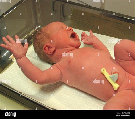 Closeup Of Crying Newborn Baby Being Weighted On Hospital Scale With
