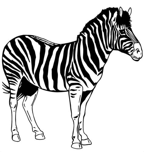 8x10 Zebra Print Stencil Printable