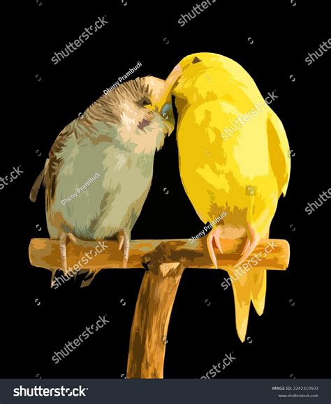 Pair Common Parakeets Kissing On Branch Stock Illustration 2242310503