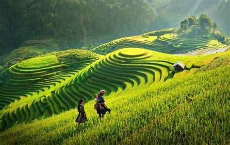 6 chiến binh còn lại chính thức 'chốt đơn', sẵn sàng cho cuộc đại chiến ở đấu trường âm nhạc the heroes. Ruộng bậc thang là gì? Ruộng bậc thang ở đâu đẹp nhất Việt ...