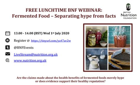 Isapp Partners With British Nutrition Foundation For Fermented Foods