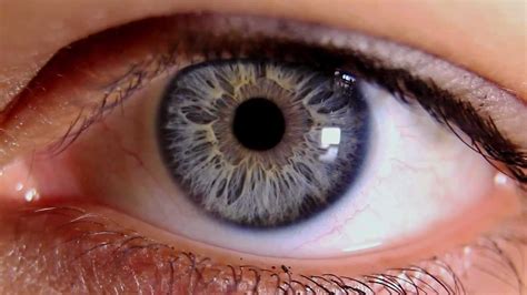 Unlabelled Daigram Of Human Eye
