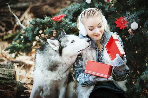 But finding a christmas gift for your girlfriend, wife, or mom, doesn't need to be torture. 2017 Christmas Gifts For Dog Lovers | Dog Training Nation