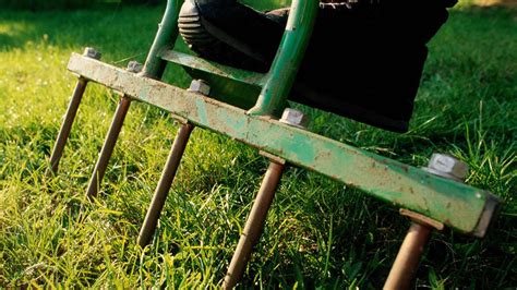 How To Aerate Your Lawn Properly When And How Often You Should Aerate
