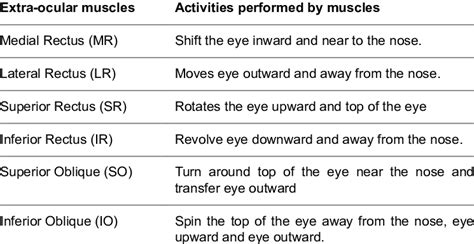 Extra Ocular Muscles Activity Download Table