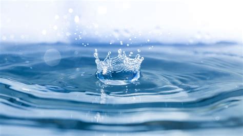 How to Connect Manatee County Utilities | Blog