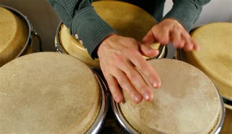 Types Of Hand Drums Musicalhowcom