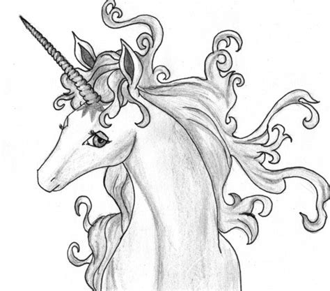 The Last Unicorn For Teru By Chibi Shinzo On Deviantart In 2023 The