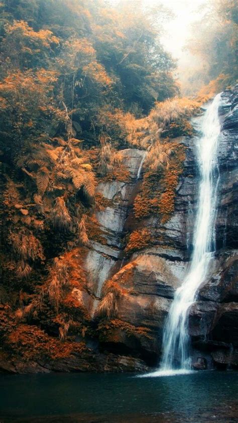 Iphone Wallpapers Nature Landscape Waterfall Mist Fall Forest Daylight