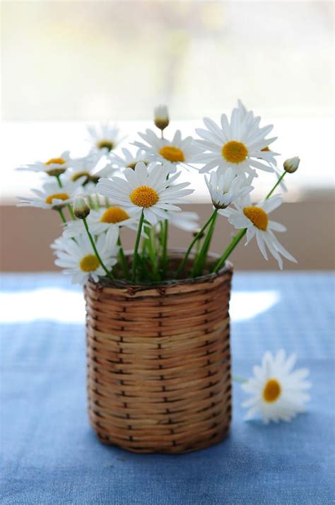Daisies It S A Beautiful World Happy Flowers Simple Flowers
