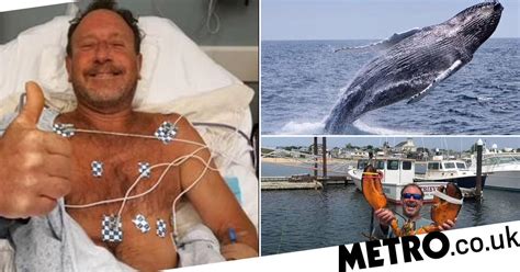 Man Swallowed Whole By Humpback Whale In Cape Cod Metro News
