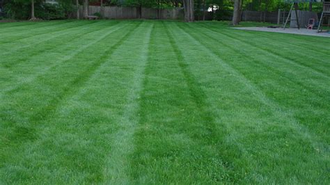 Lawn Striping And Lawn Mowing Tips Land Designs Unlimited Llc