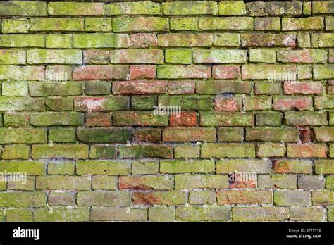 Brick Wall Background Variety Of Bricks Brick Wall Showing Signs Of