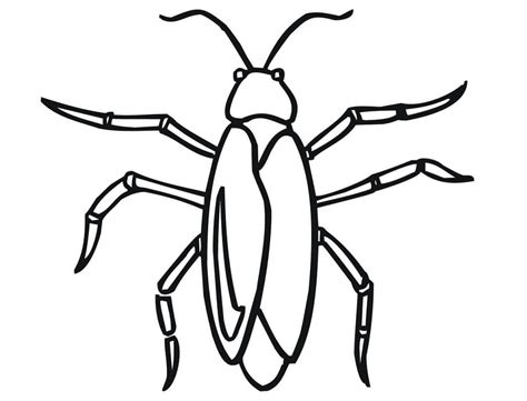 Cockroach Coloring Page Coloring Pages