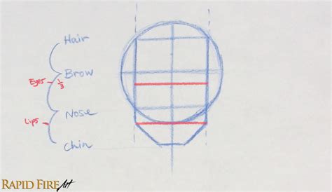 How To Draw A Face From The Front Loomis Method Rapidfireart
