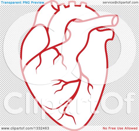 Clipart Of A Red Human Heart 3 Royalty Free Vector Illustration By