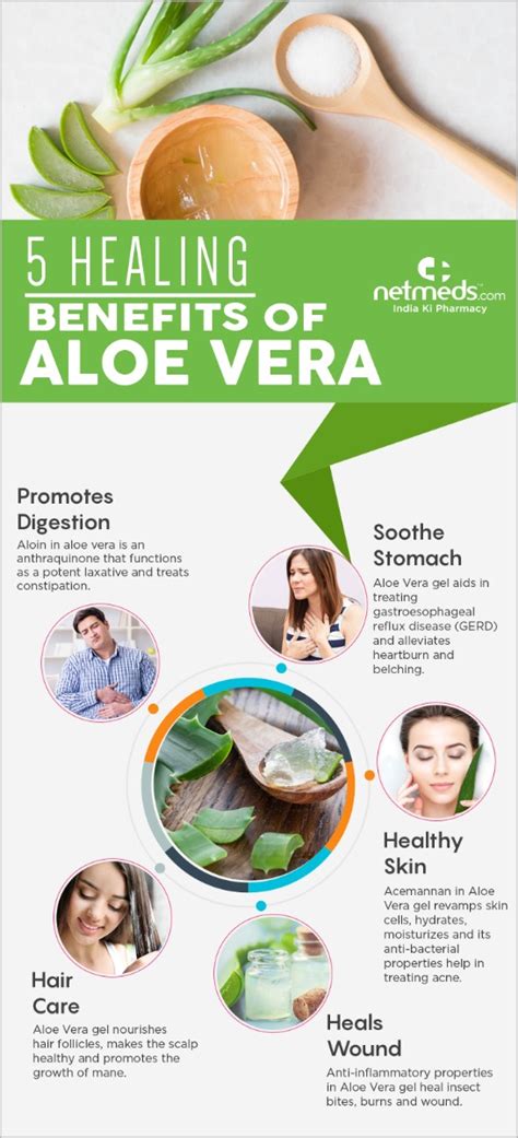 5 Surprising Health Benefits Of Aloe Vera Gel Infographic Netmeds