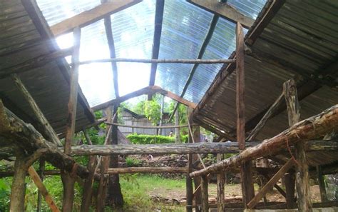 Anda bahkan bisa menggunakan cara ternak ikan mujair di media sawah. Perkembangan Kegiatan Pembangunan Lahan Kandang sebagai ...