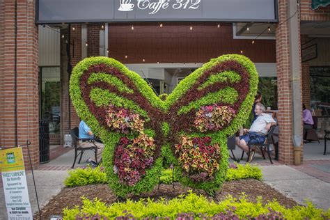 Sc (myr) nashville, tn (nsh). South Carolina Festival of Flowers Returns in June ...