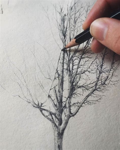 Paper Trees Tree Drawings Pencil Tree Drawing Tree Sketches