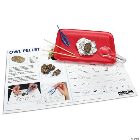 Carolina Biological Supply Company Owl Pellet Explorer Set