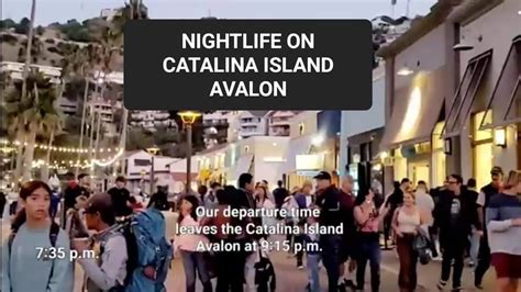 The Catalina Island Nightlife At Night Youtube