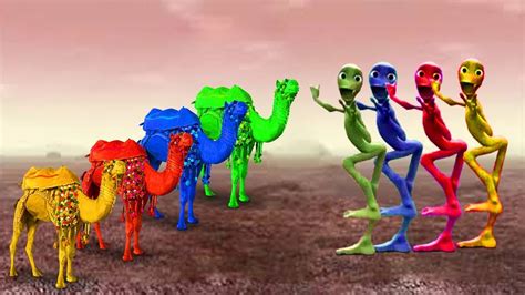 dame tu cosita dance challenge learn colors from dame tu cosita challenge with camel youtube