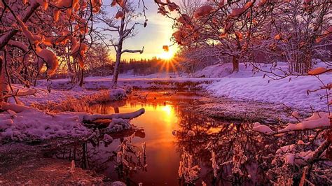Sunset Winter Landscape Sunray Forest Snow Trees Snowy Nature