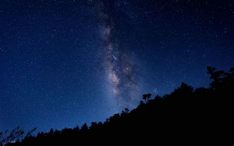 Download Wallpaper 2560x1600 Milky Way Starry Sky Trees Widescreen 16